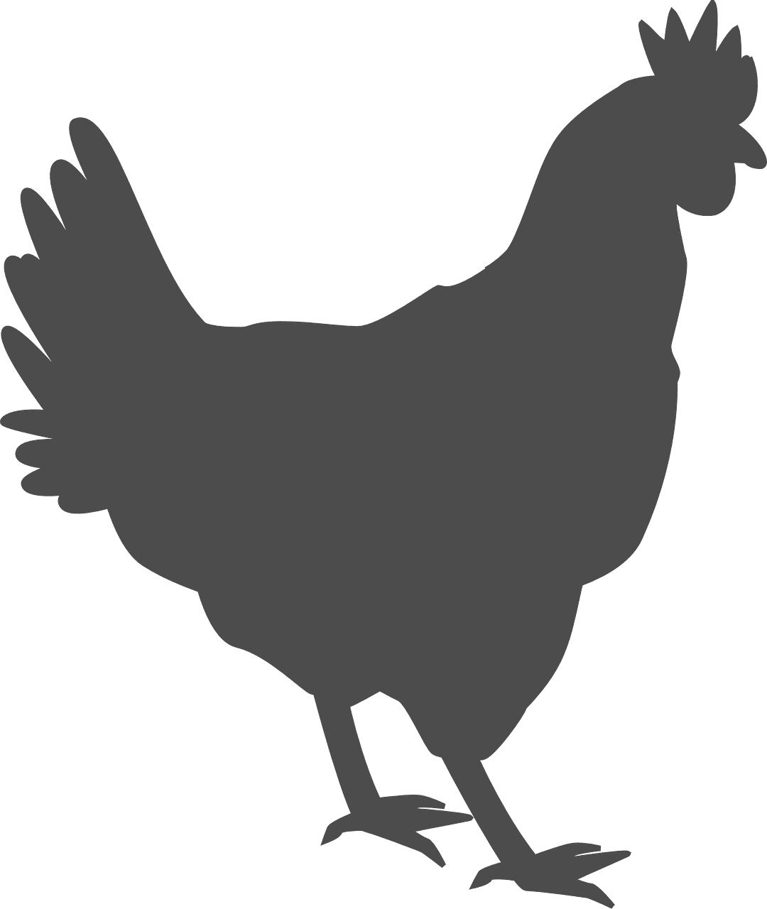 hen-311284_1280